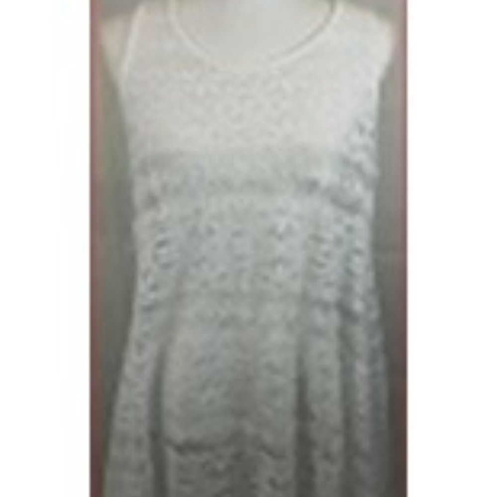 XL West Loop Swimsuit Coverup or Sexy Sheer Nighty